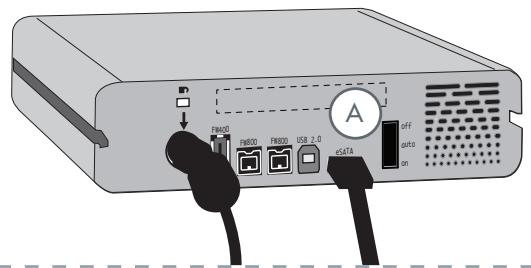 LACIE D2 QUADRA 2 TO - D. connexion via le câble d'interface esata - 1