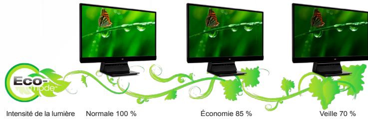 VIEWSONIC VX2453MH-LED - Rétroéclairage à DEL et mode « éco » écologiques - 1