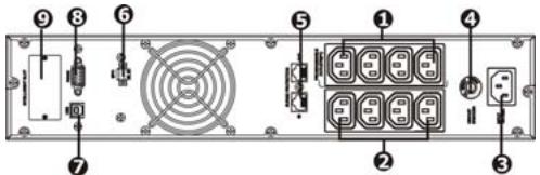 INFOSEC X4 SINUS 2000 RT - Rear panel view - 1