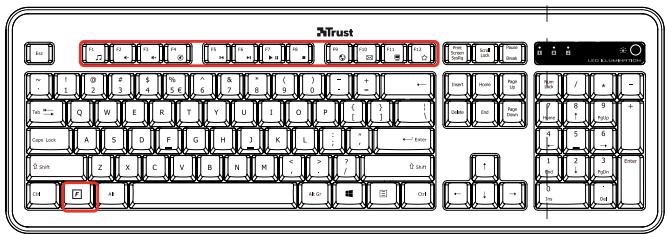 TRUST ELIGHT - 5