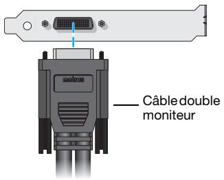 MATROX M9138 LP PCIE X16 - Connectez le câble double moniteur - 1