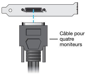 MATROX M9148 LP - Connectez le câble pour quatre moniteurs - 1