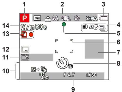 PANASONIC LUMIX DMC-LZ30 - Pendant l'enregistrement - 1