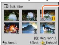 PANASONIC LUMIX DMC-TZ40 - Sélectionnez une image fixe - 2