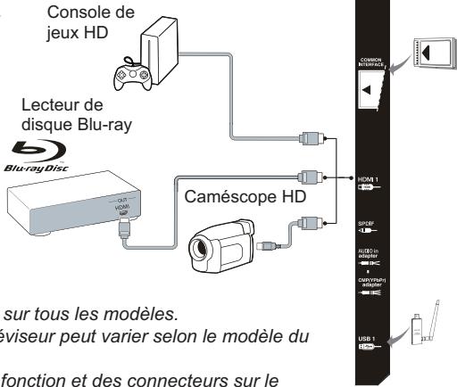 THOMSON 55UB6406 - Remarques : - 1