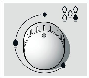 SIEMENS EP716QB21E - Gasbranders - 1