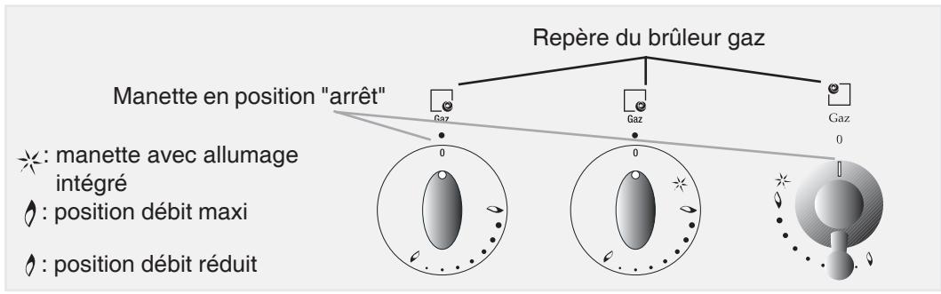 ROSIERES RCG656RB - Utilisation : - 1