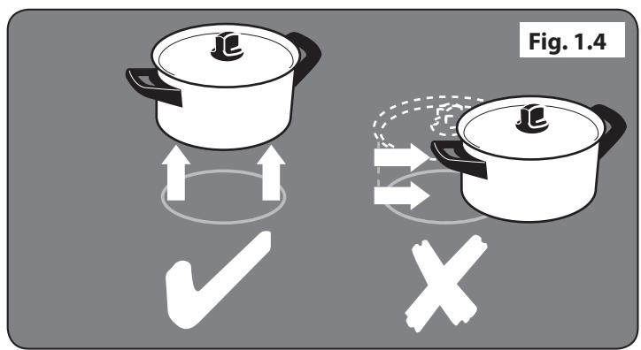 FALCON MODERN PROFESSIONAL+ FX INDUCTION - Entretien de la cuisinière - 4