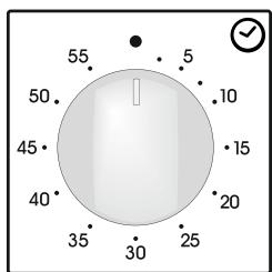 ZEROWATT ZFFS302NX - USING THE MINUTE TIMER - 1