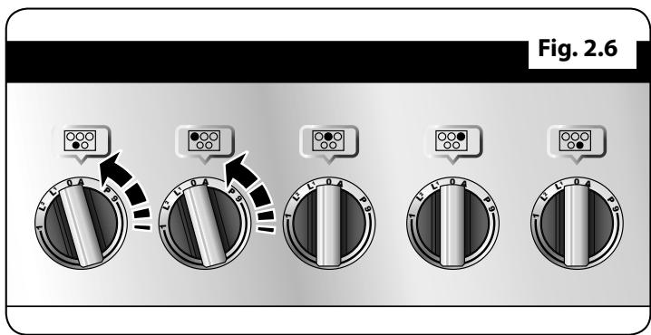 FALCON PROFESSIONAL 1092 DELUXE INDUCTION - Chauffage Automatique, R - 1
