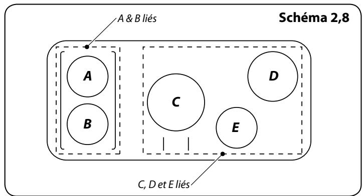 FALCON ELISE 90 INDUCTION - Fonction de surchauffe - 1