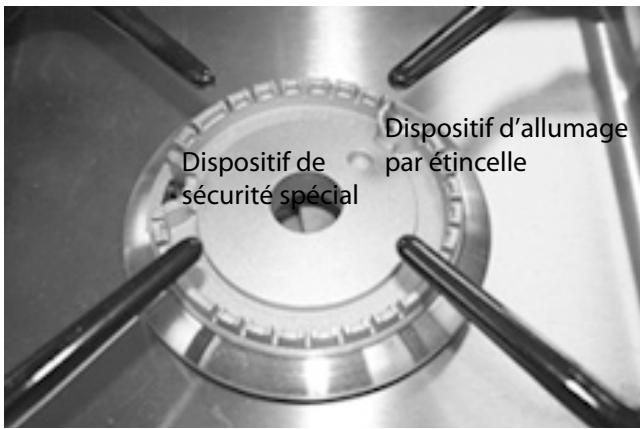 FALCON KITCHENER 100 DUAL FUEL - Brûleurs de table de cuisson - 1