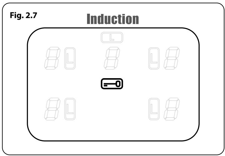 FALCON MODERN PROFESSIONAL+ 110 INDUCTION - Chauffage automatique, r - 2