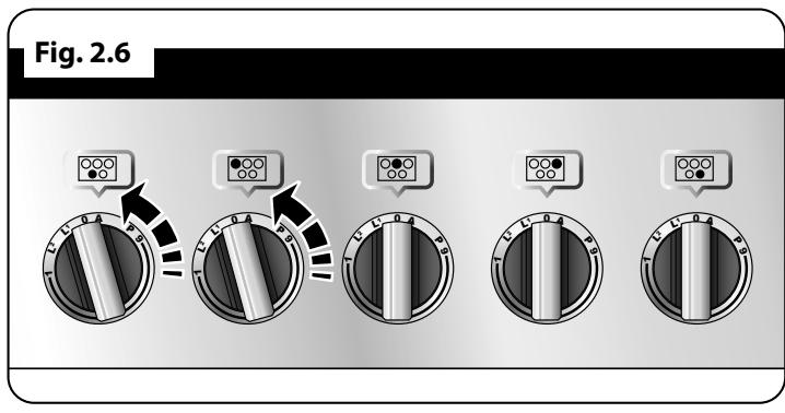 FALCON MODERN PROFESSIONAL+ 110 INDUCTION - Chauffage automatique, r - 1