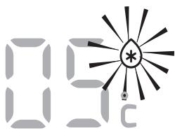 09 c