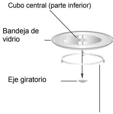 NODOR NMW 25 D - Instalación del plato giratorio - 1