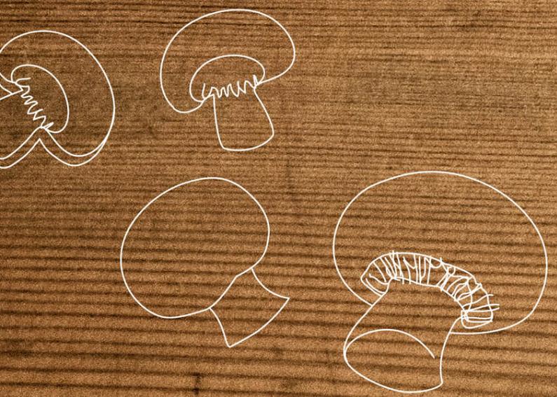 NEFF T26CS49S0  -  T26CS49S0 - Afvoeren van uw oude apparaat - 2