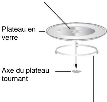 Plateau en verre Axe du plateau tournant