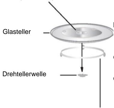 Glasteller Drehtellerwelle