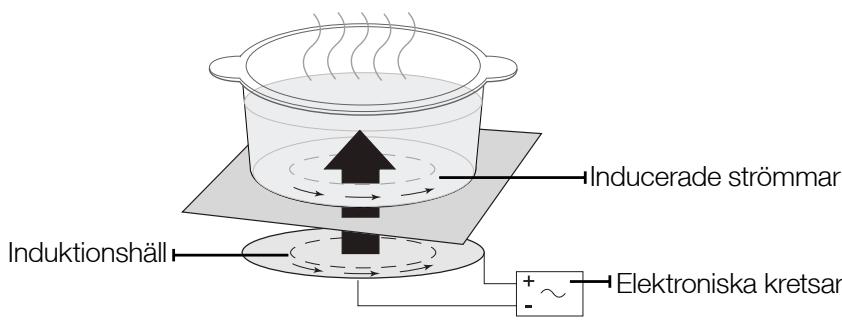 SAMSUNG NZ64M3707AK/UR  -  NZ64M3707AK/UR - INDUKTIONSSUPPVÄRMNING - 1