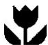 ARTHUR MARTIN SILENCE PLUS - Entretien - 2
