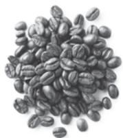 SAGE APPLIANCES BAMBINO - FILTERBAKJES MET ENKELE WAND - 1