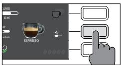 GAGGIA CADORNA PRESTIGE - Polski - 2