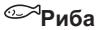 AEG-ELECTROLUX BPE556320M - Допомога при готуванні з рецептами - 4