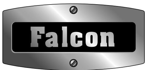 FALCON ELS100EICB/-EU  -  ELS100EIMG/-EU -  ELS100EISB/-EU - Gebruikershandleiding - 1