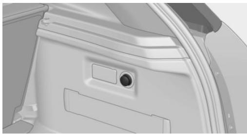 BMW I3 - In the trunk - 1