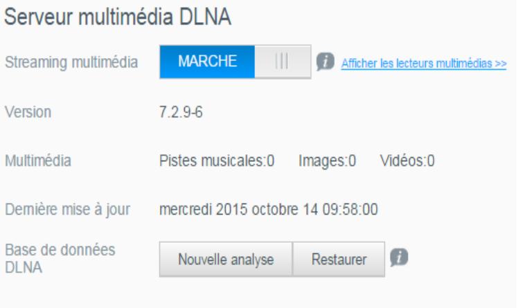 WD PERFORMANCE 7200 - Affichage des informations sur le serveur multimédia DLNA - 1