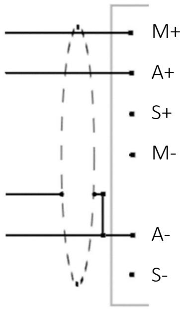 M+ A+ • S+ • M- A- • S-