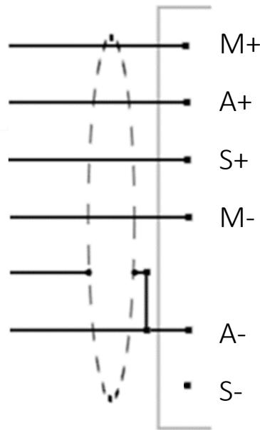 M+ A+ S+ M- A- S-