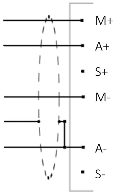 M+ A+ S+ M- A- S-