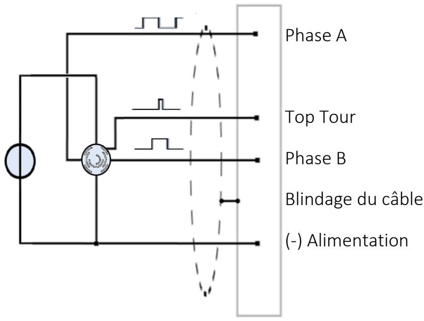 KENWOOD DP 520 - RACCORDEMENT CODEUR ALIMENTE VIA SOURCE EXTERNE - 1