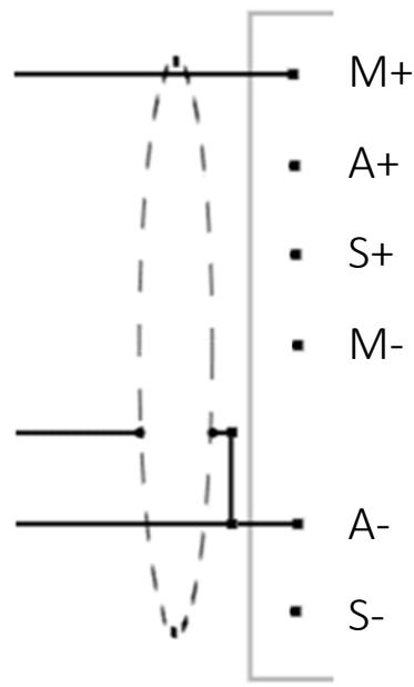 M+ A+ S+ M- A- S-