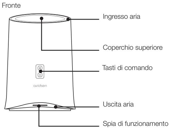 AVIDSEN CLAIR-X1 - 2-COMPOSIZIONE - 1