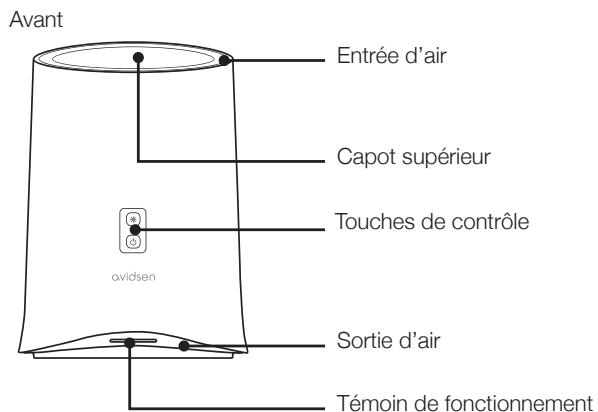 AVIDSEN CLAIR-X1 - - Composition - 1