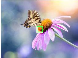 FUJIFILM X-A5 - Autofocus Options (AF Mode) - 1