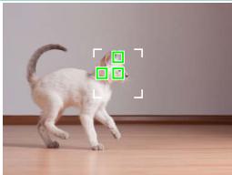 FUJIFILM X-A5 - Autofocus Options (AF Mode) - 2