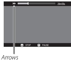 FUJIFILM X-A5 - Playback Speed - 1
