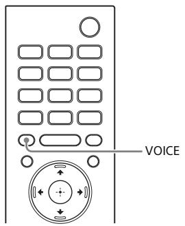 SONY HT-XF9000 - Making Dialogs Clearer (VOICE) - 1
