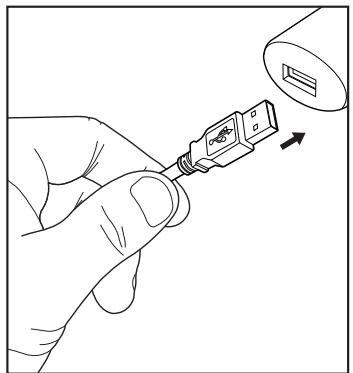 AVIDSEN CLAIR-P1 - - Composition - 3