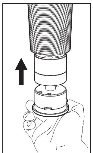 AVIDSEN CLAIR-P1 - Attention - 7