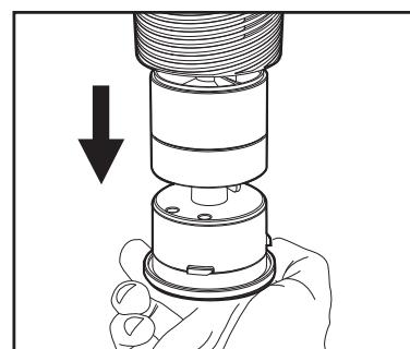 AVIDSEN CLAIR-P1 - Attention - 4