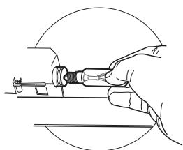 BEKO CTB 6250 XH  -  CTB 6250 X - Vervanging Van De Lampen Gloeilampen van 28W - 1