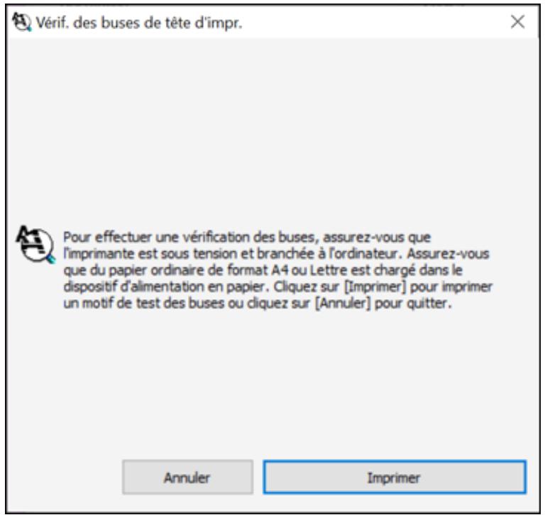 EPSON SC-P900 - Vérification des buses à l'aide d'un utilitaire de votre ordinateur - 1