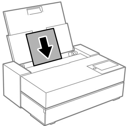 EPSON SC-P900 - Chargement de support dans l'alimenteur de papier arrêté - 3