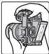 PANASONIC LUMIX G9 - Prises de vues libres - 1