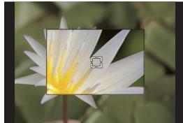PANASONIC LUMIX G9 - Configuration des méthodes d'affichage de la fenêtre de grossissement - 1